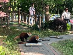 -常州淹城野生动物世界