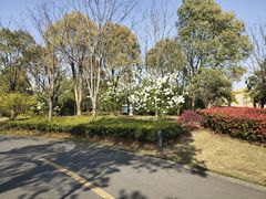 -幸福湖国际会议中心