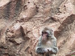 -昆明动物园