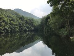 -洛阳白云山景区