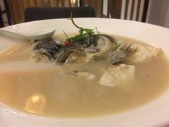 -帐篷客·溪龙茶谷度假酒店