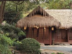 -中国茶叶博物馆(双峰馆区)