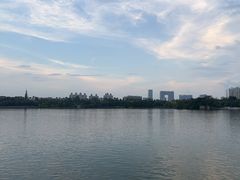 -海珠湖公园
