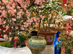 -双季花艺园艺市场(浦东店)