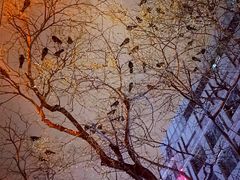 -回龙观体育文化公园