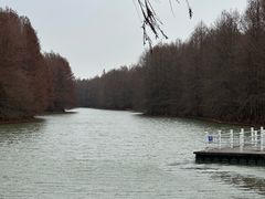 -上海海湾国家森林公园