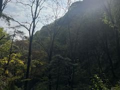 -王顺山国家森林公园
