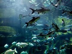 -波塞冬旅游度假区