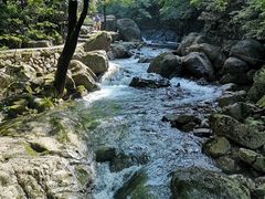 -白云源风景区