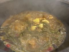-桃源村铁锅炖鱼(体育馆道店)