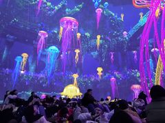 -海合安成都极地海洋公园