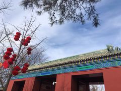 -北京东直门智选假日酒店