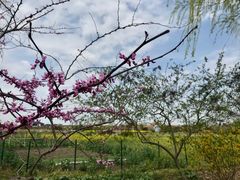-华东政法大学松江校区-停车场
