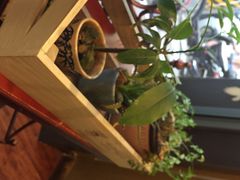 鲁马滋(湖南路店)-RUMORS COFFEE ROASTERY鲁马滋咖啡(湖南路店)