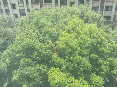 -中国工商银行(南翔支行)