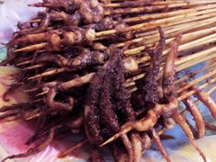 -十里铺铁板鱿鱼