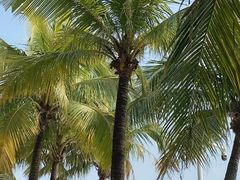 -深圳湾公园(南山区)