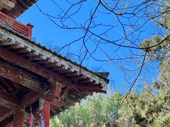 -函谷关历史文化旅游区