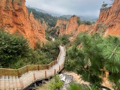 -彩色沙林风景区