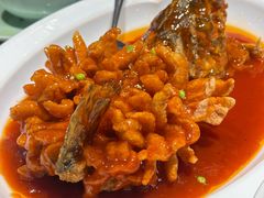 -北平盛世·新京菜·北京烤鸭(劲松·双井店)