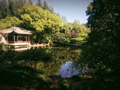 -汇龙潭