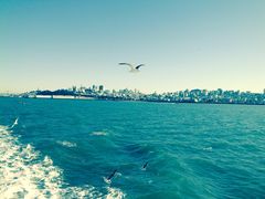 -阿尔卡特拉斯岛