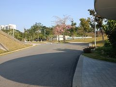 -白石龙音乐公园