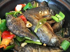 禾花鱼-山坑河鲜(昆仲楼店)