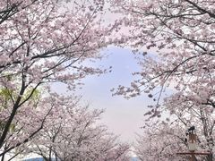 -长田漾湿地公园