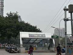 -大龙山(地铁站)