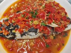 -全乐鱼馆·淳牌有机鱼直营店