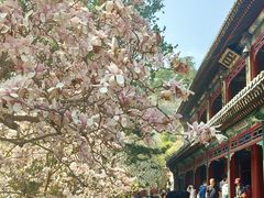 -潭柘寺景区
