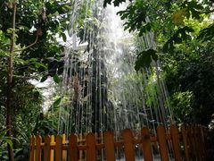 -北京呀路古热带植物园