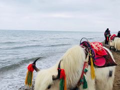 -青海湖国家重点风景名胜区