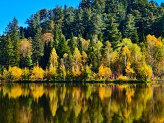 -五营红松林海景区