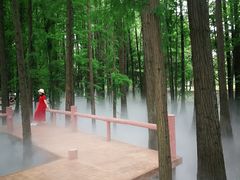 -东湖落雁景区
