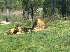 -西安秦岭野生动物园