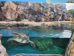-珠海长隆海洋王国