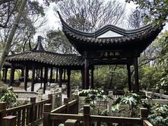 -上海佘山国家森林公园天马山园