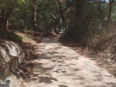 -芦仙山景区-飞越丛林探险乐园