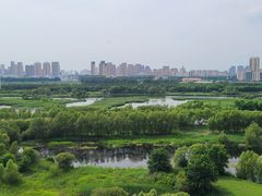 -哈尔滨大剧院