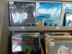 -浣熊唱片店(上海影城店)