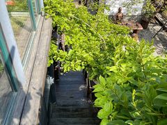 -慢丽江·云南野生菌土鸡锅(西山店)