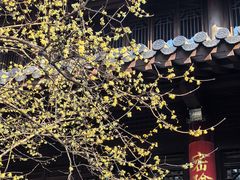 -灵谷景区
