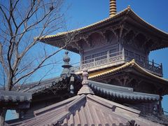 -广富林郊野公园