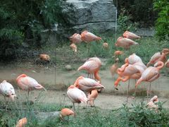 -云南野生动物园