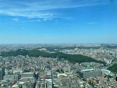 -虎门美思威尔顿酒店(海之光自助餐)
