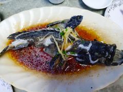 -四川小胡子海鲜(丁村万人海鲜广场店)