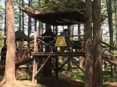 -日照海滨国家森林公园