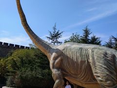 -青岛方特梦幻王国